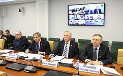 Сенаторы обсудили реализацию постановлений Совета Федерации о господдержке социально-экономического развития регионов