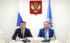 Сенаторы продолжают работу по сближению национальных законодательств государств-членов ОДКБ на 2021 – 2025 годы