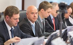 В СФ обсудили поправки в закон об основах государственного регулирования торговой деятельности в России