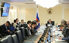 В. Городецкий провел заседание Комитета СФ по федеративному устройству, региональной политике, местному самоуправлению и делам Севера