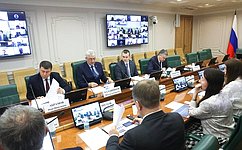 В. Калашников провел круглый стол по развитию пассажирского и грузового судоходства на Амуре