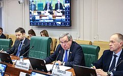 В. Городецкий: Профильный Комитет СФ не оставляет без внимания развитие сегмента индивидуального жилищного строительства