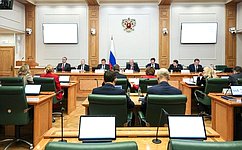 Амурская область представила опыт обеспечения бюджетной сбалансированности