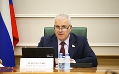 С. Мартынов провел заседание Секции по военно-промышленной политике и бюджету Комитета СФ по обороне и безопасности