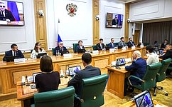 Е. Перминова отметила социально значимую законодательную инициативу молодых парламентариев по поддержке детей-инвалидов