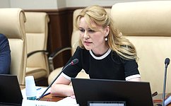 Д. Лантратова выступила с предложениями по совершенствованию законодательства о добровольческой деятельности