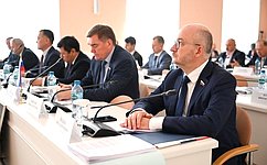 На площадке Межпарламентской Ассамблеи СНГ в Санкт-Петербурге сенаторы представили проекты модельных законов