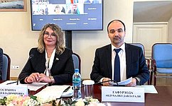 Н. Косихина: Модельный закон СНГ в сфере платформенной занятости сформирует правовые, экономические и организационные основы регулирования отрасли