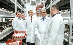 С. Лукин посетил Новоусманский район Воронежской области