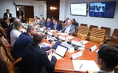 Сенаторы и эксперты обсудили вопросы профессиональной этики в деятельности должностных лиц органов публичной власти
