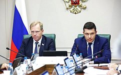 В преддверии «правительственного часа» Комитет СФ по экономической политике рассмотрел инициативы по обеспечению технологического суверенитета