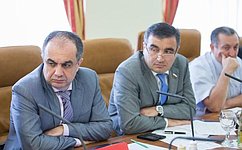Сенаторы от Северной Осетии обсудили проблемы республики с Министром по делам Северного Кавказа