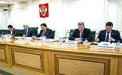 Вопросы обеспечения прав коренных малочисленных народов Севера, Сибири и Дальнего Востока России обсудили в Совете Федерации
