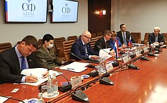 MPs from Russia and Paraguay discuss ways of countering the novel coronavirus infection and developing digital technology
