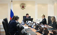 В СФ обсудили вопросы регулирования госрегистрации сделок с недвижимым имуществом, являющимся совместной собственностью супругов