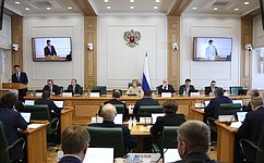 В. Матвиенко провела заседание Совета по вопросам газификации субъектов Российской Федерации при СФ