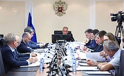 Сенаторы рассмотрели экологическое оздоровление водных объектов, в том числе в новых регионах