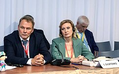 И. Святенко: Российская Национальная стратегия действий в интересах женщин расширяет возможности их участия в политике и общественной жизни