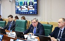 В. Городецкий: Профильный Комитет СФ не оставляет без внимания развитие сегмента индивидуального жилищного строительства