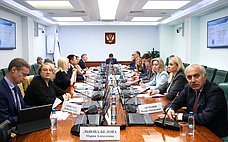 На заседании Комитета СФ по социальной политике выступила Уполномоченный при Президенте РФ по правам ребенка М. Львова-Белова