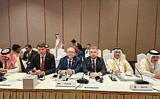 Г. Орденов: Россия открыта для равноправного сотрудничества по всему спектру вопросов экологии и климата