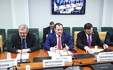 В Совете Федерации рассмотрели реализацию Госпрограммы по энергосбережению, а также вопросы обеспечения промышленной безопасности