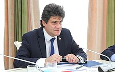 А. Высокинский предложил проанализировать и обобщить региональные практики поддержки горных территорий
