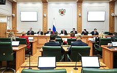 Амурская область представила опыт обеспечения бюджетной сбалансированности