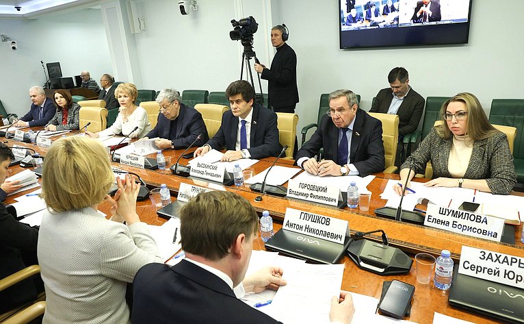 Круглый стол Комитета СФ по федеративному устройству, региональной политике, МСУ и делам Севера