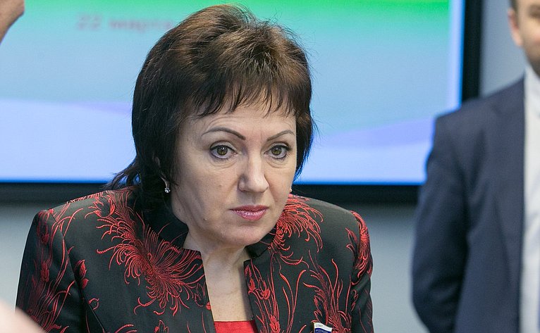 Е. Бибикова Заседание Комитета Совета Федерации по социальной политике