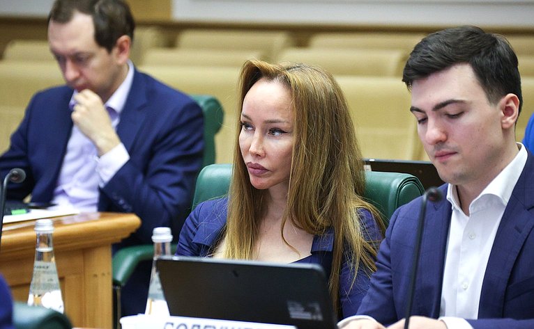 Совещание Комитета Совета Федерации по федеративному устройству, региональной политике, МСУ и делам Северана тему «Газификация и ее производные: газохимия и нефтехимия как драйвер роста экономики Дальневосточного федерального округа»