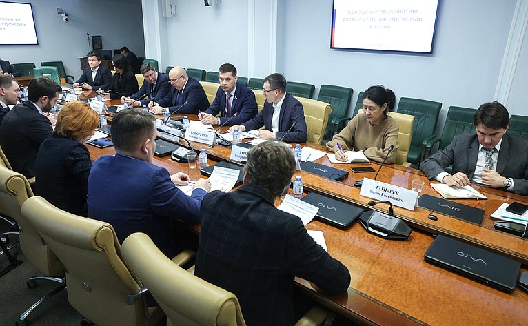Совещание Комитета СФ по социальной политике «По развитию систем учета электрической энергии»