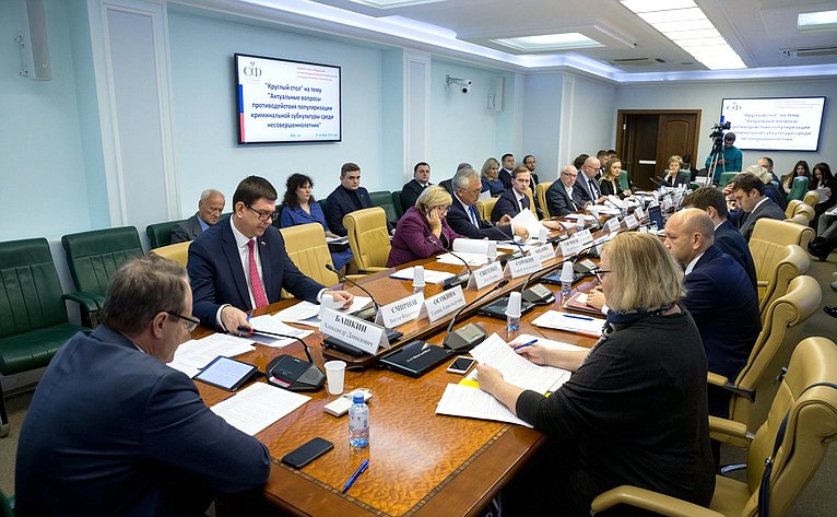 «Круглый стол» Комитета СФ по экономической политике совместно с Комитетом СФ по конституционному законодательству и государственному строительству