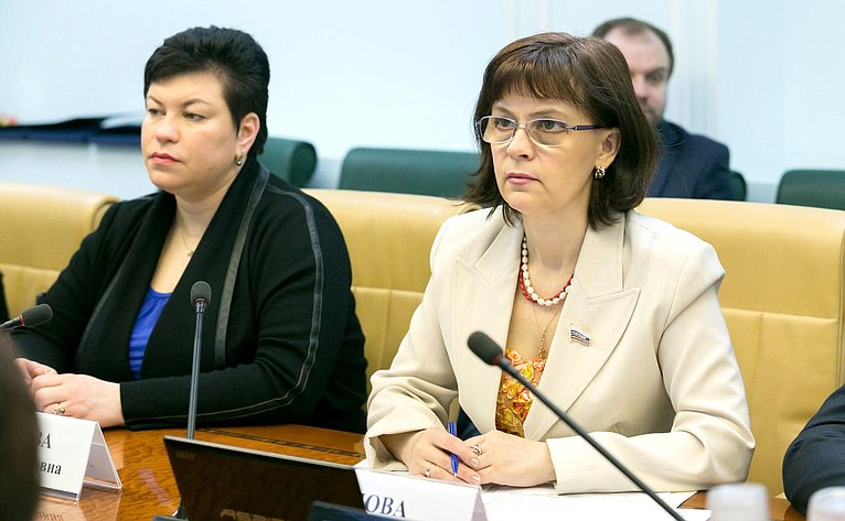 Е. Попова на заседании Комитета СФ по социальной политике