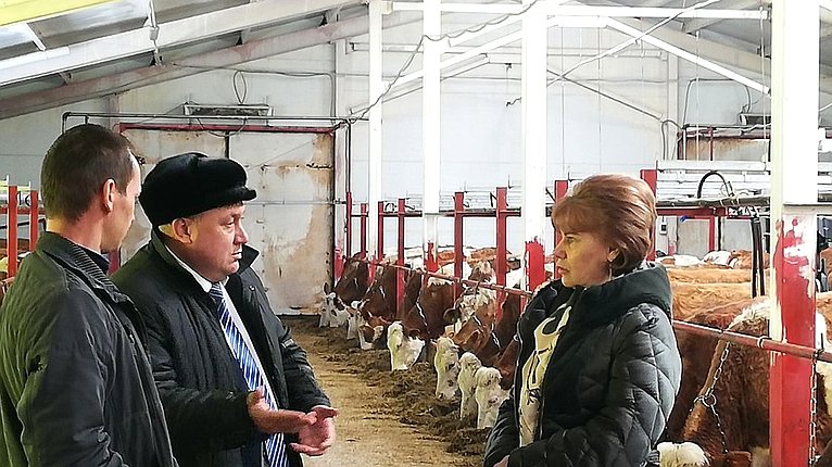 Татьяна Гигель в ходе рабочей командировки по региону побывала на новой ферме в селе Гусевка Чойского района