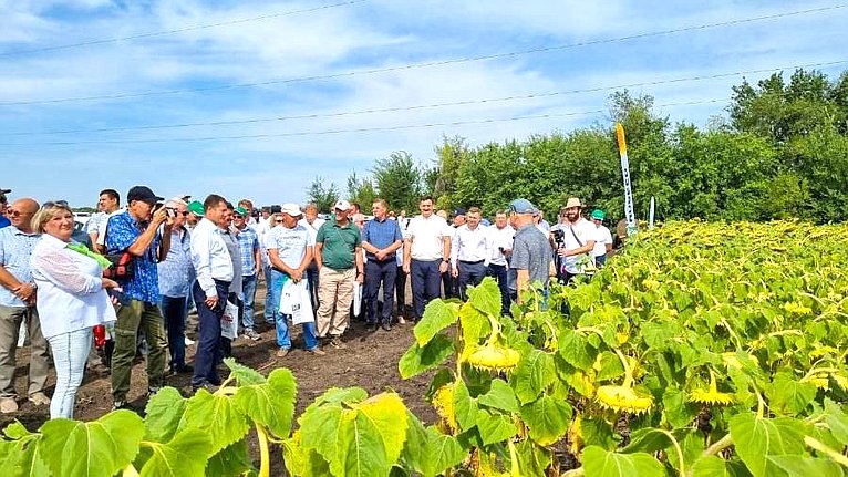 Николай Семисотов в ходе поездки регион посетил Новониколаевский район и принял участие в мероприятиях, посвященных Дню поля