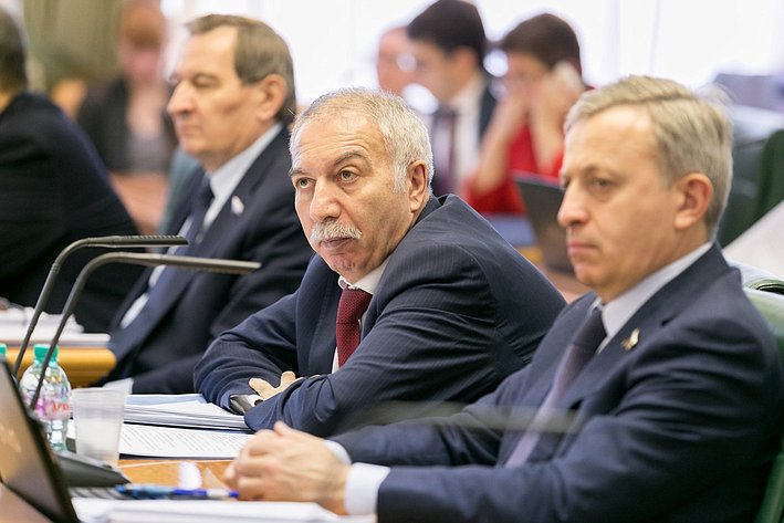 А. Саллагаров на заседании Комитета Совета Федерации по бюджету и финансовым рынкам