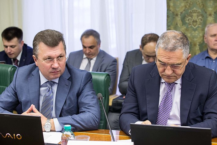 В. Васильев и Е. Тарло Заседание Комитета Совета Федерации по экономической политике