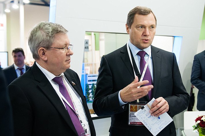 Александр  Торшин принял участие в работе Международного электроэнергетического  форума RUGRIDS-ELECTRO