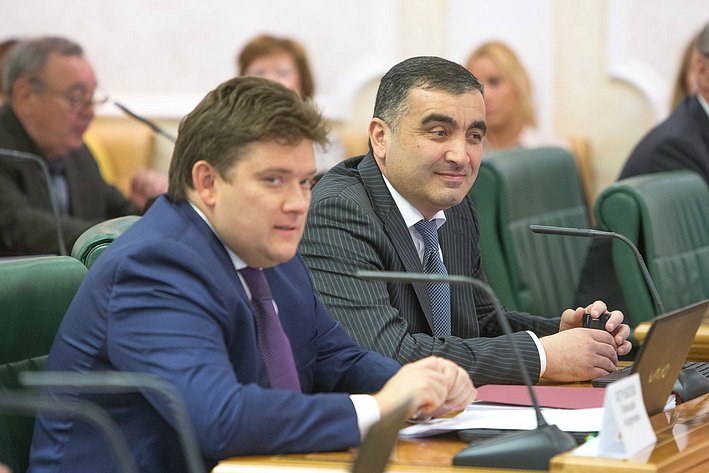 Н. Журавлев Заседание Комитета СФ по бюджету и финансовым рынкам