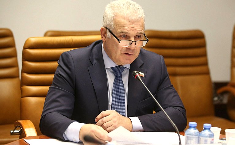 Сергей Мартынов выступил на 507-м пленарном заседании Совета Федерации