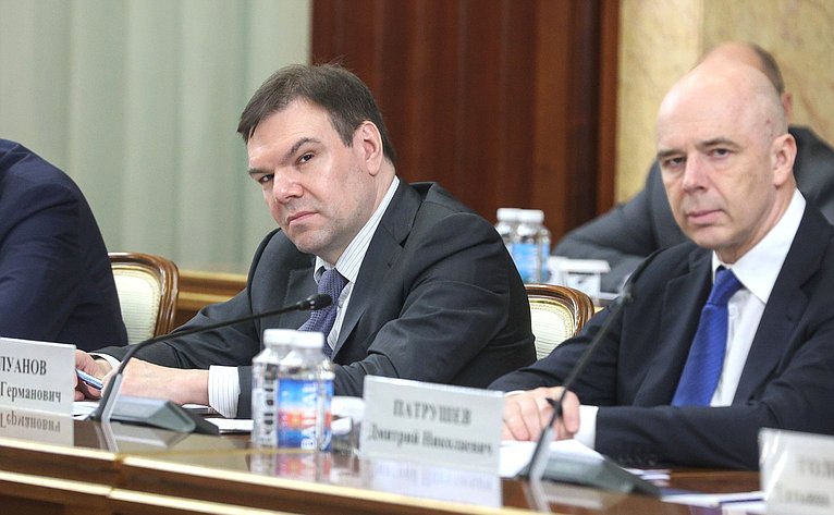 Встреча Председателя Правительства РФ Михаила Мишустина с членами Совета палаты Совета Федерации