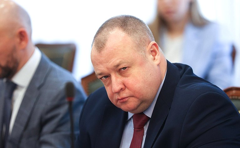 Встреча первого заместителя председателя Комитета СФ по международным делам Андрея Денисова с делегацией Республики Индии во главе с членом Народной палаты парламента Каниможи Карунанидхи