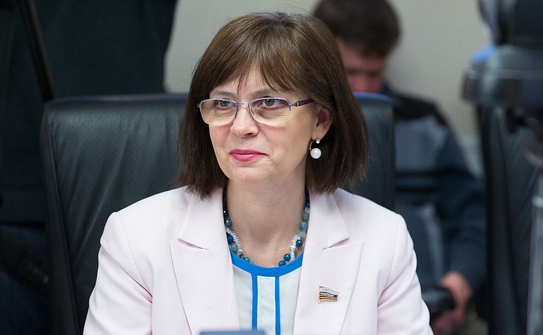 Е. Попова на заседании рабочей группы при Комитете СФ по социальной политике