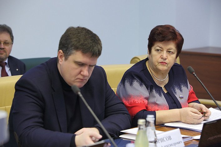 17-12-2013 Заседание комитета по соцполитике-3 Чернышев Козлова