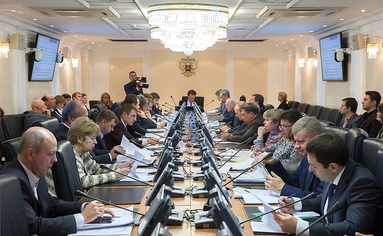 Заседание Комитета Совета Федерации по бюджету и финансовым рынкам