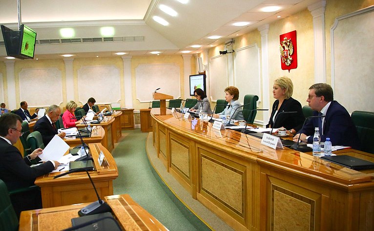 Первое заседание Временной комиссии СФ по сохранению и развитию народных художественных промыслов