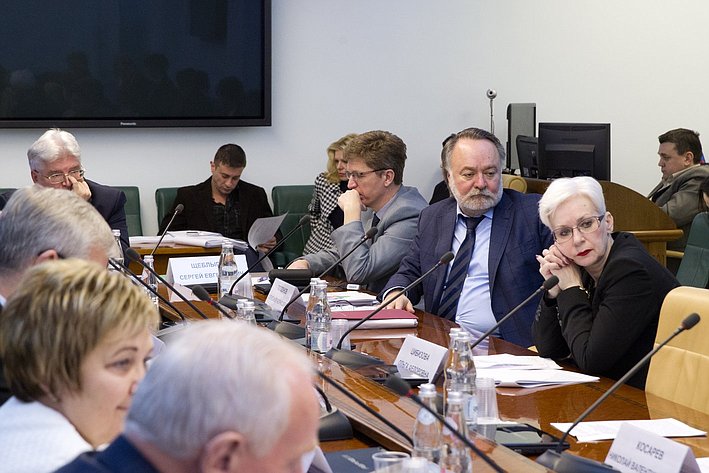 17-02 З. Драгункина заседание комитета 4