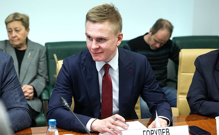 Круглый стол Комитета Совета Федерации по федеративному устройству, региональной политике, МСУ и делам Севера на тему «Актуальные проблемы развития сегмента строительства малоэтажных жилых комплексов»