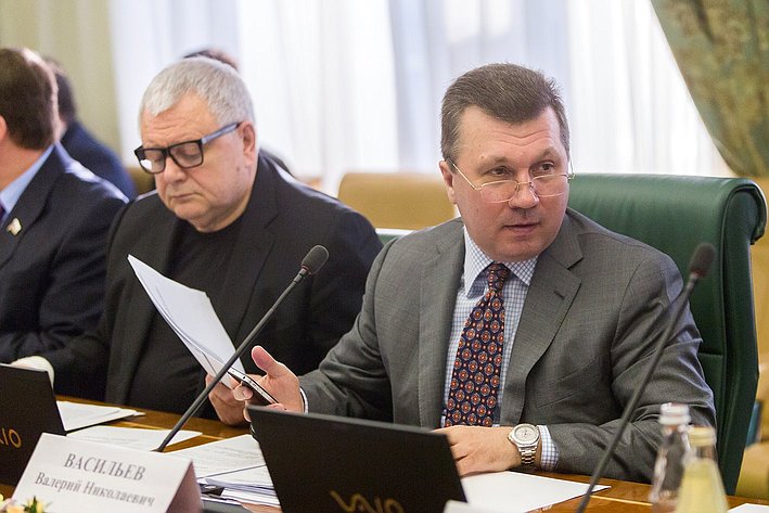 В. Васильев Заседание Комитета Совета Федерации по экономической политике 6